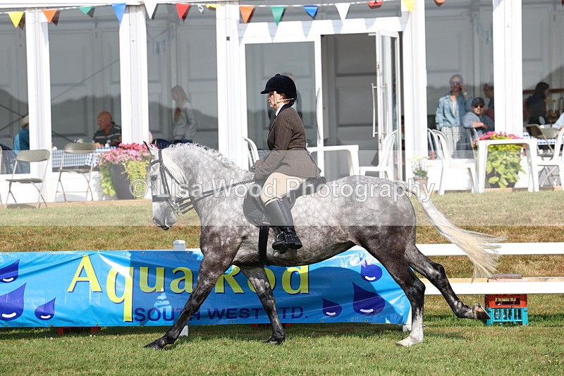 3E7A8599 - Class 3: Rising Star S/L Hunter