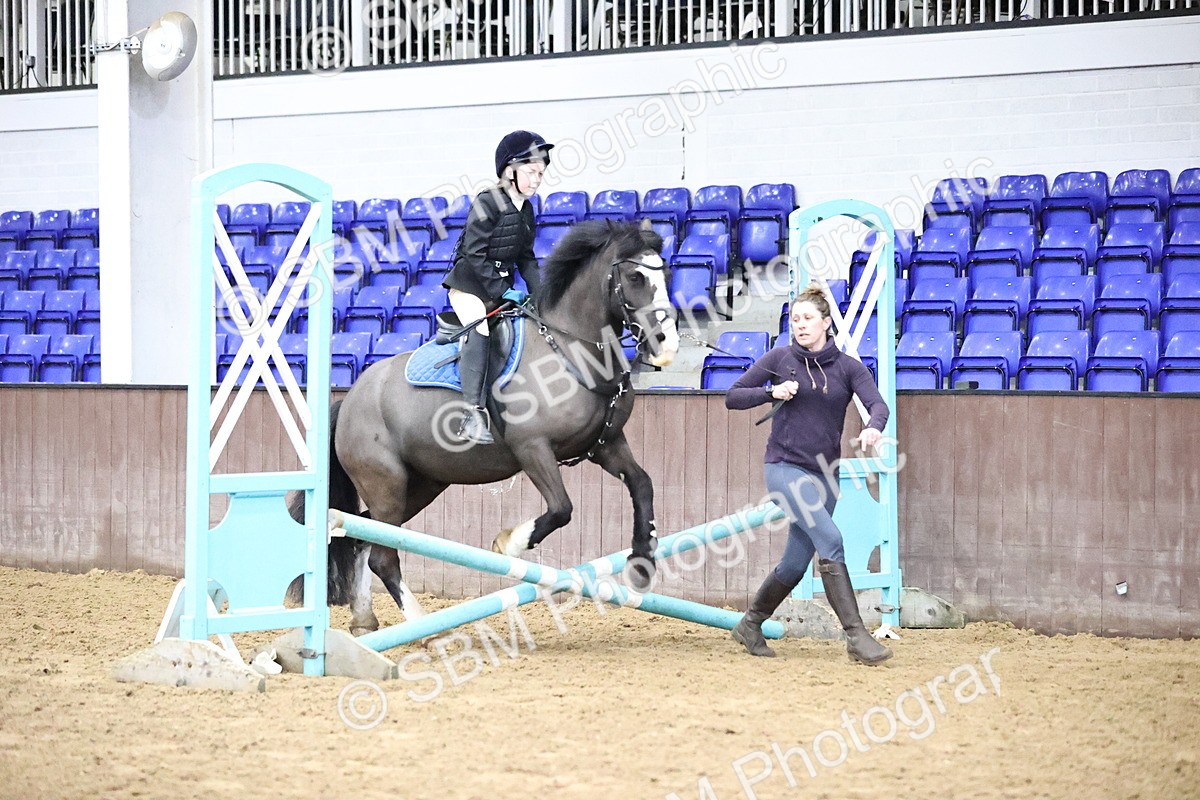 SBM_000091 - class 1 - 40cm