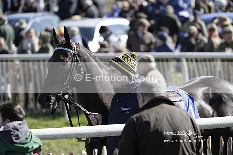 PtP 100423 576 - Old Berkshire Point-to-Point Lockinge 10/04/23