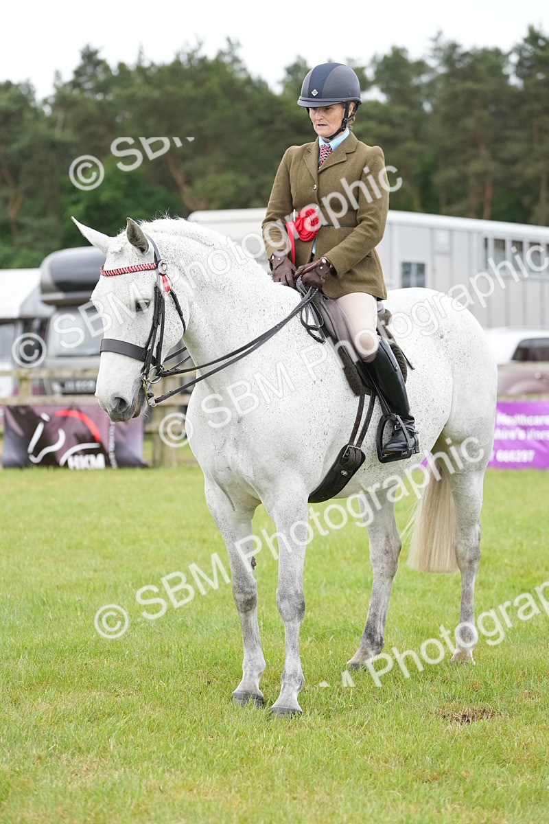 SBM_12847 - Class 97-98 - LIHS BSHA Rising Star Working Show Horse Hunter