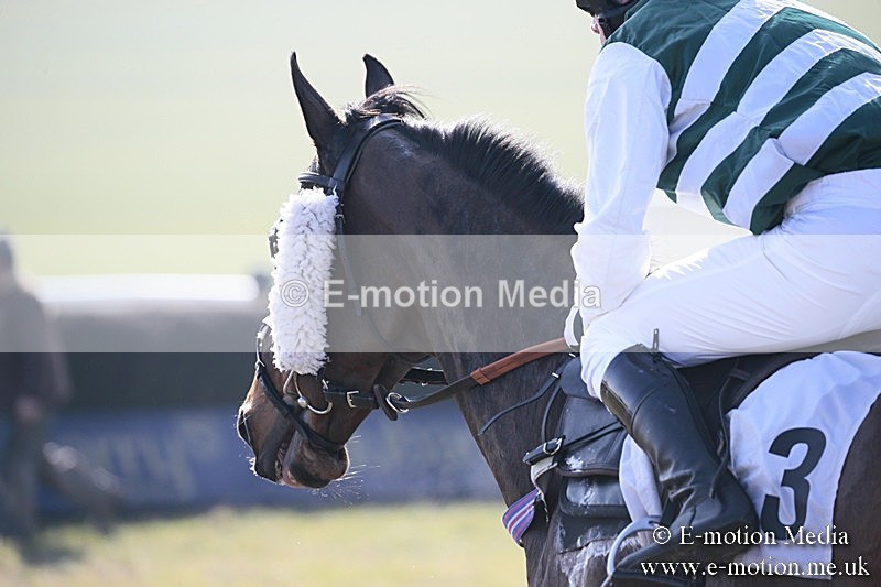 PtP 240218 105 - Vine & Craven Hunt Point-to-Point Barbury racecourse 24/02/18