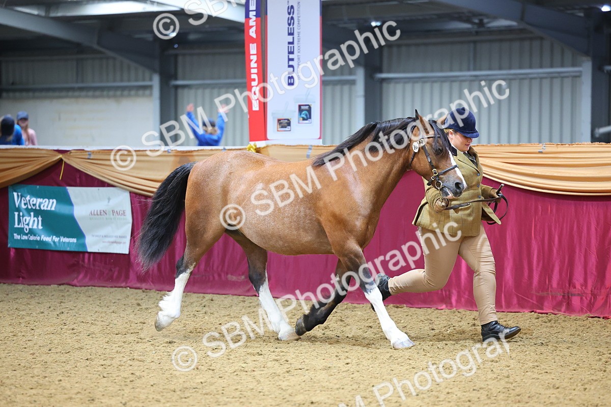 SBM_22687 - Class 903 - Supreme Final - IH Pre Vet