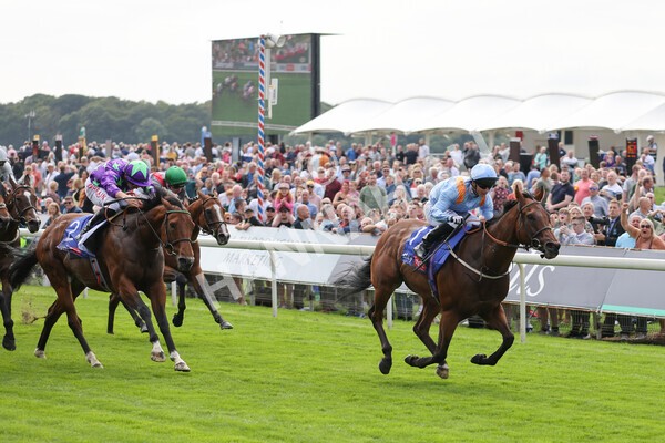 yr18082021r1-58 - Race 1 1.50pm Sky Bet & Symphony Group Stakes