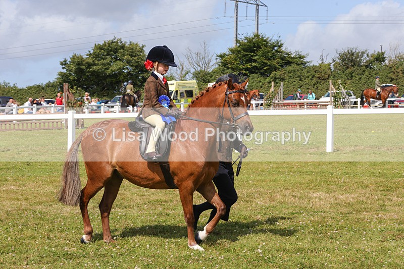 1X9A3701 - Class 29: Lead Rein SP/SHP