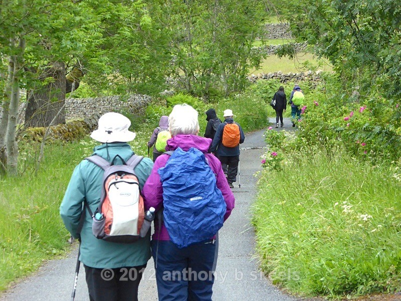 041 Still on the  descent through  Pie Gill Green - York Minster Walkers Collection 2025