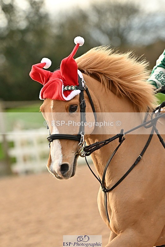 241215-141713-01219 - 1m