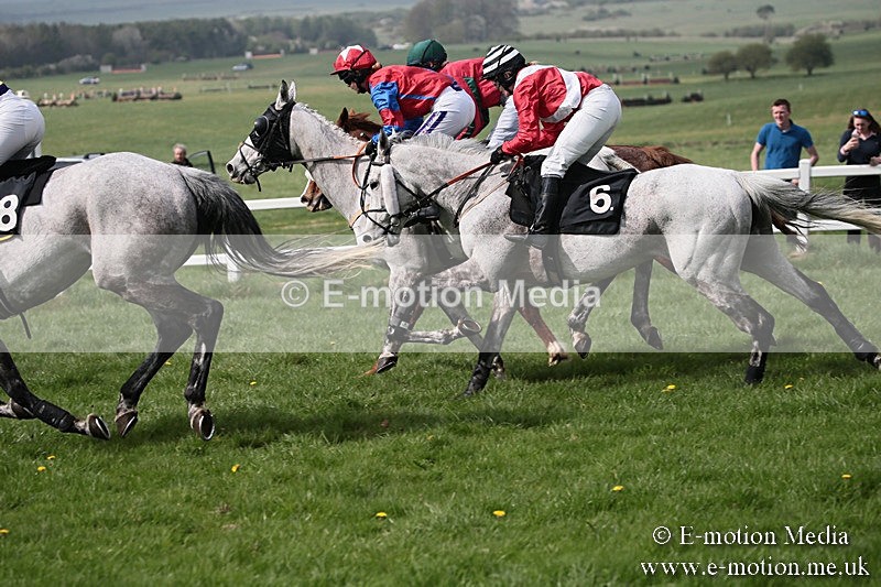 PtP 210418 264 - South & West Wilts Point-to-Point Larkhill 21/04/18