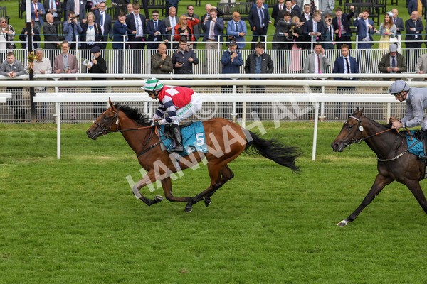 140624-Race 4-Havana Gila-5645 - Race 4 3.35pm Seat Unique Ganton Stakes