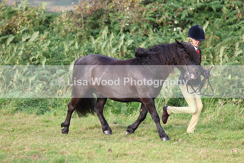 3E7A3131 - Class 12: M & M Small Breeds