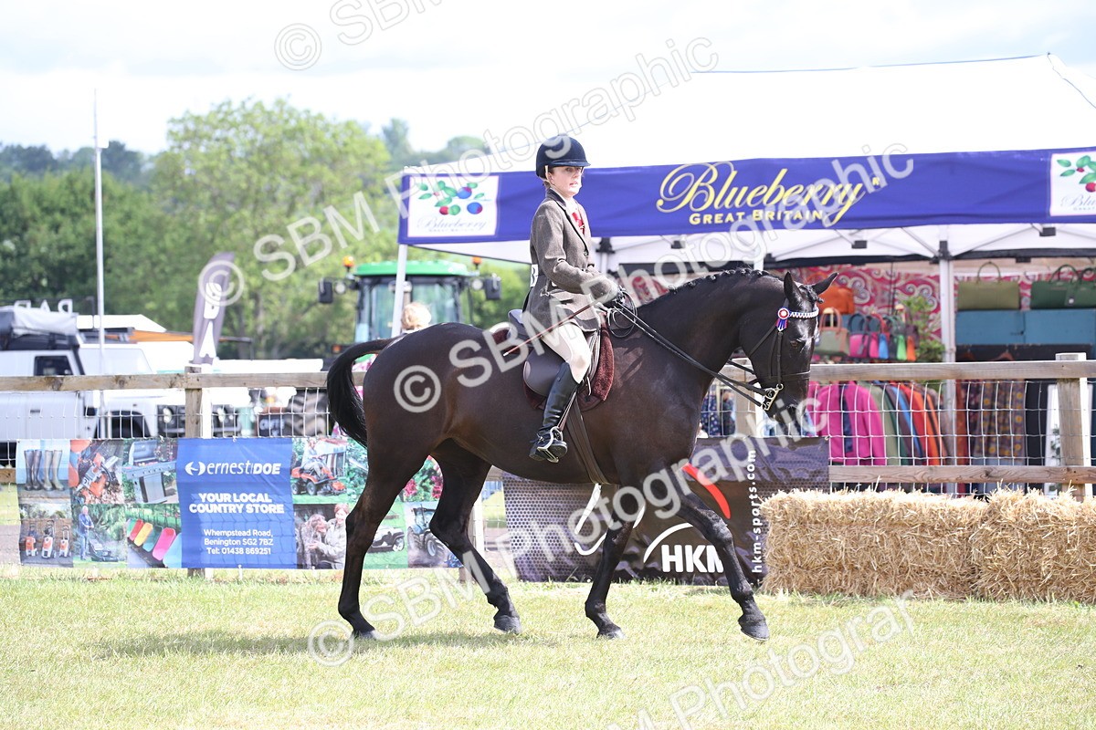 SBM_13185 - Class 95-96 - LIHS BSHA Rising Star Hack Riding Horse