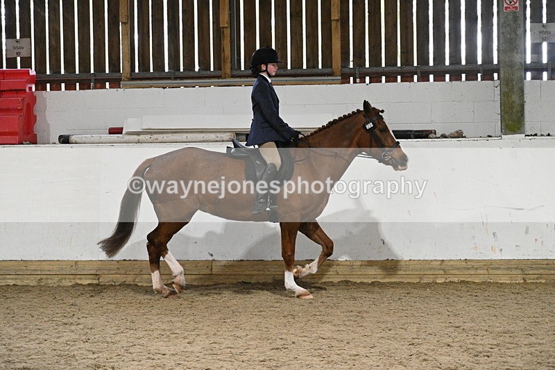 WJ7_4113 - Class 17 Ridden Cob