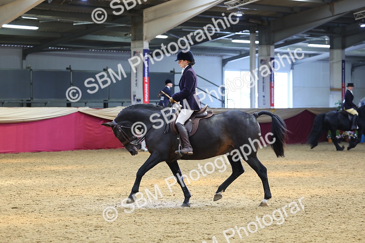 SBM_24089 - Class 905 - Supreme Final - Ridden Veteran