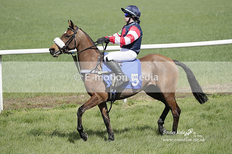 PtP PR 100423 259 - Pony Racing Lockinge 100423