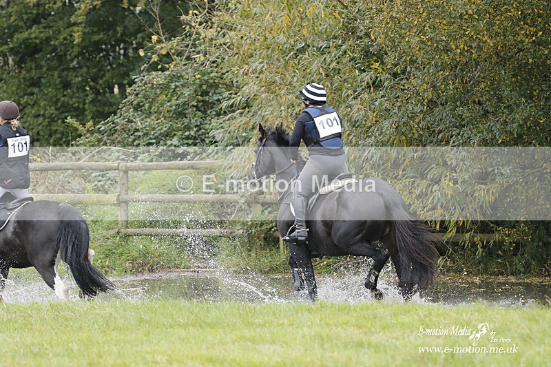  WWHT 171021 1800 - Novice Pairs (0.80m)  17/10/21