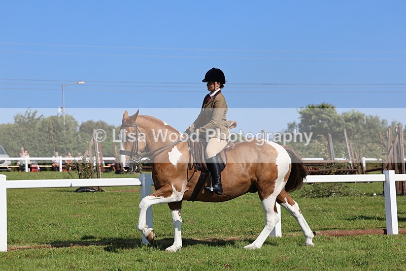IMG_1665 - Skewbald and Piebald Ridden Championship