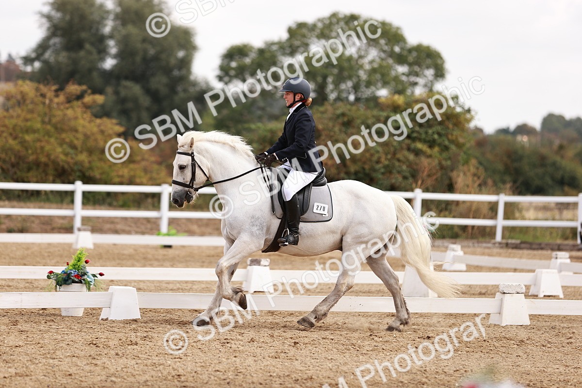 SBM_018024 - Class 15 - Prelim 6