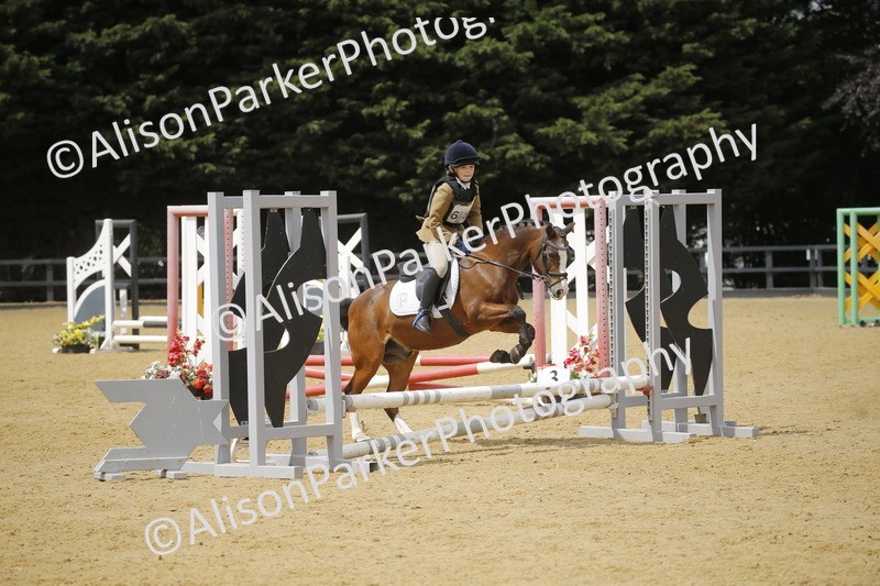 20250622-4767 - 50cm