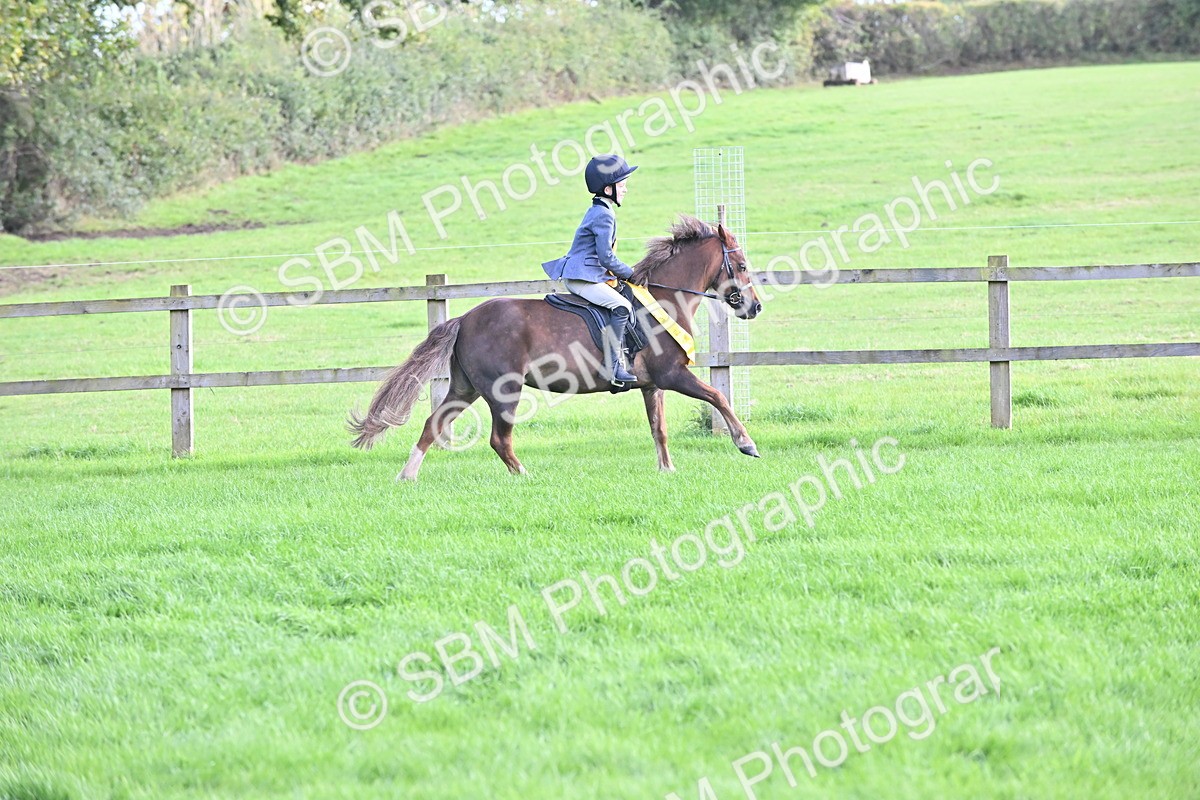 SBM_50376 - S21 - Novice & Newcomers First Ridden