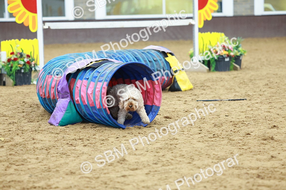 SBM_002357 - Class 3 - Horse & Hound (60cm)
