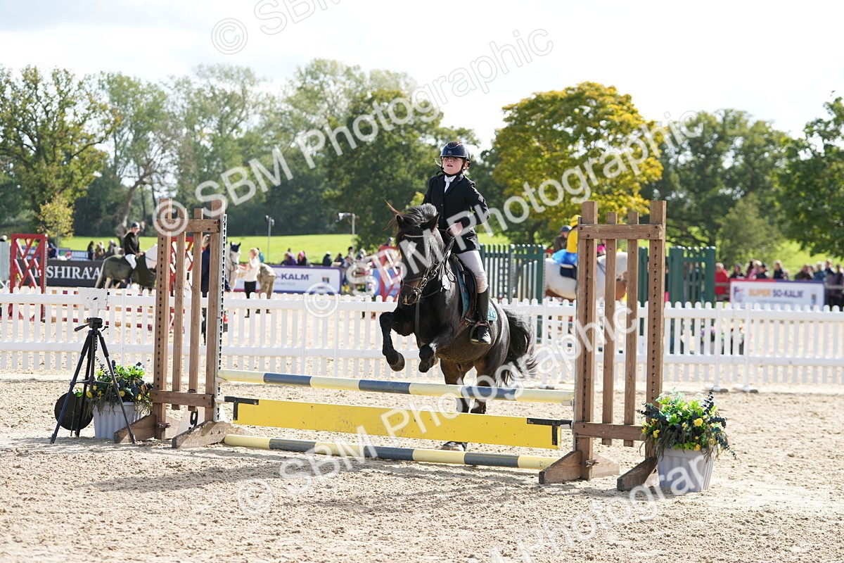 SBM_48449 - J7 - Junior Pony 60cm Championship
