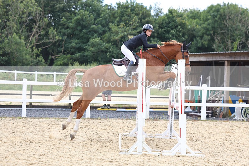 3E7A5191 - Class 4: Senior British Novice/90cm open