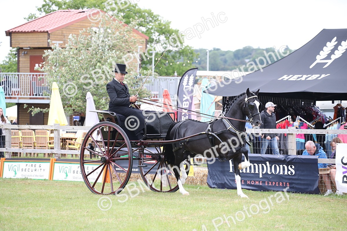 SBM_05730 - Class 12-15 - HOYS Private Driving