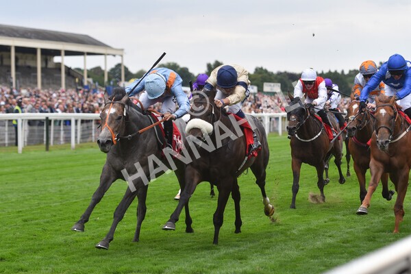 yr18082022r2-49 - Race 2 2.25pm Goffs UK Harry Beeby Premier Yearling Stakes