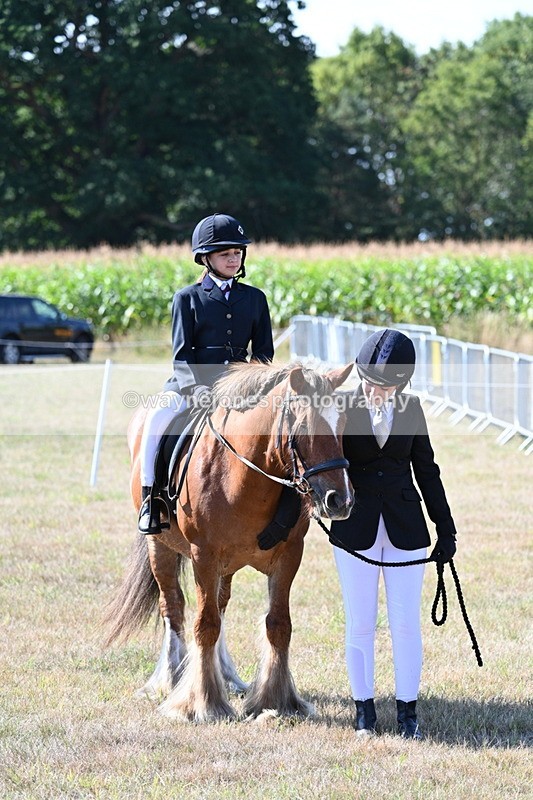 WJ7_3171 - Class 8 Ridden Tack & Turnout