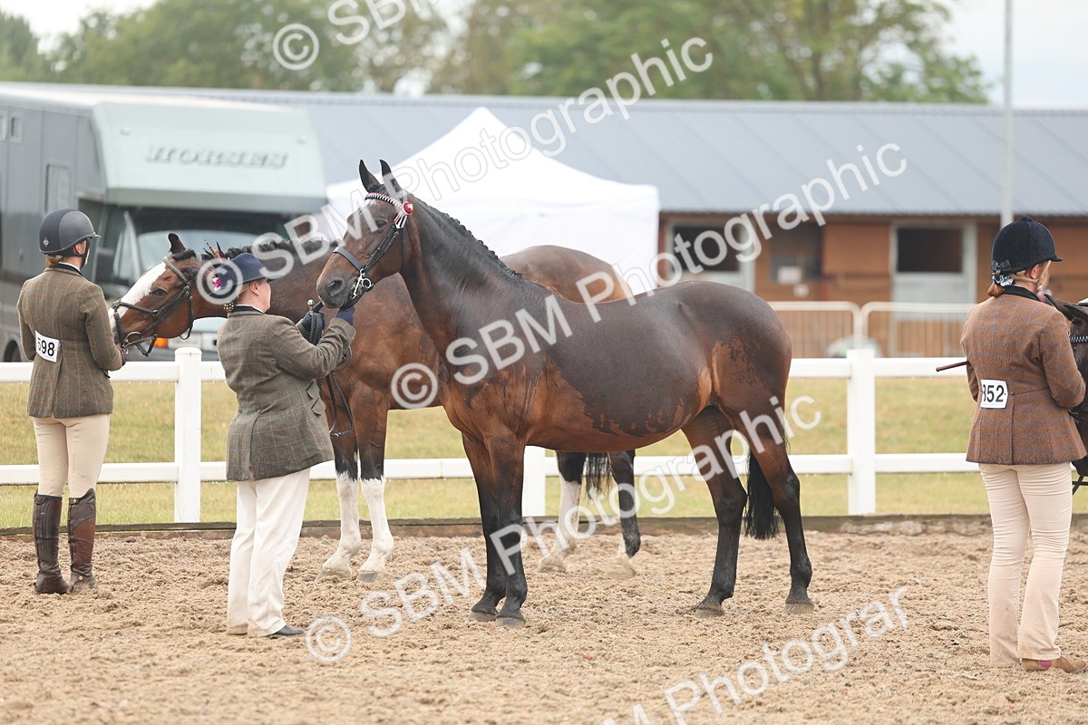 SBM_07776 - Class 27 - IH Competition Horse/Pony