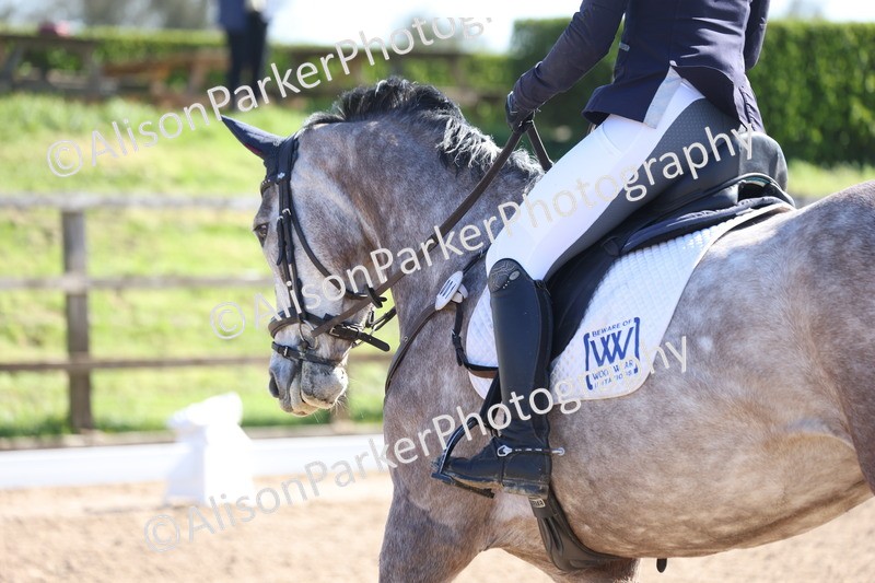 20260318-0368 - Class 4 - Prelim 2