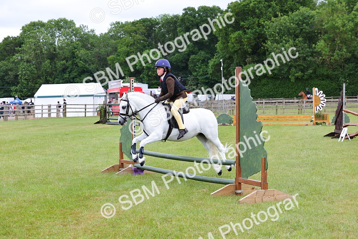 SBM_09484 - Class 44-45 - LIHS BSPS Open Nursery and Cradle Stakes