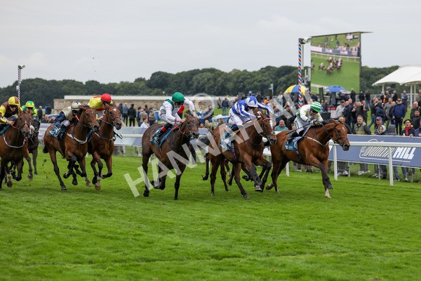 120724-Race 7-Lieber Power-1837 - Race 7 5.30pm William Hill Bet In Running Apprentice Handicap