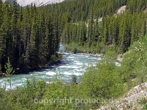 Athabasca River near Jasper (Canada) - The Americas