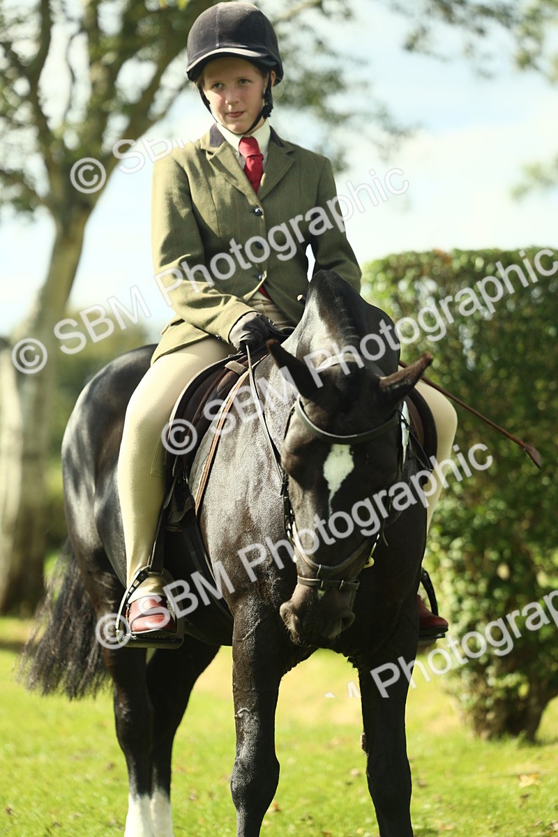 SBM_45005 - Working Hunter Pony Supreme Championship