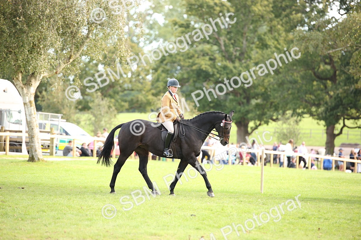 SBM_50232 - S26 - Young Veteran - Ridden