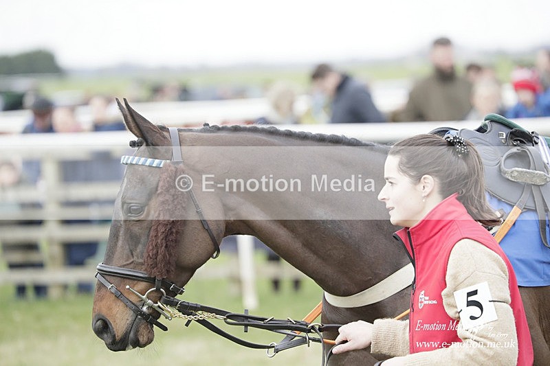 PtP 190323 505 - Oakley Hunt Point-to-Point Brafield-On-The-Green 19/03/23