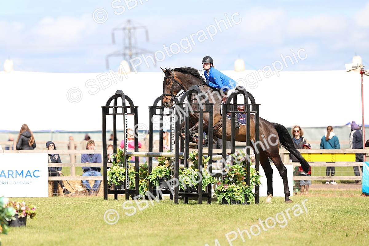 SBM_13372 - Class 206 - Senior Newcomers - 1.10m Open