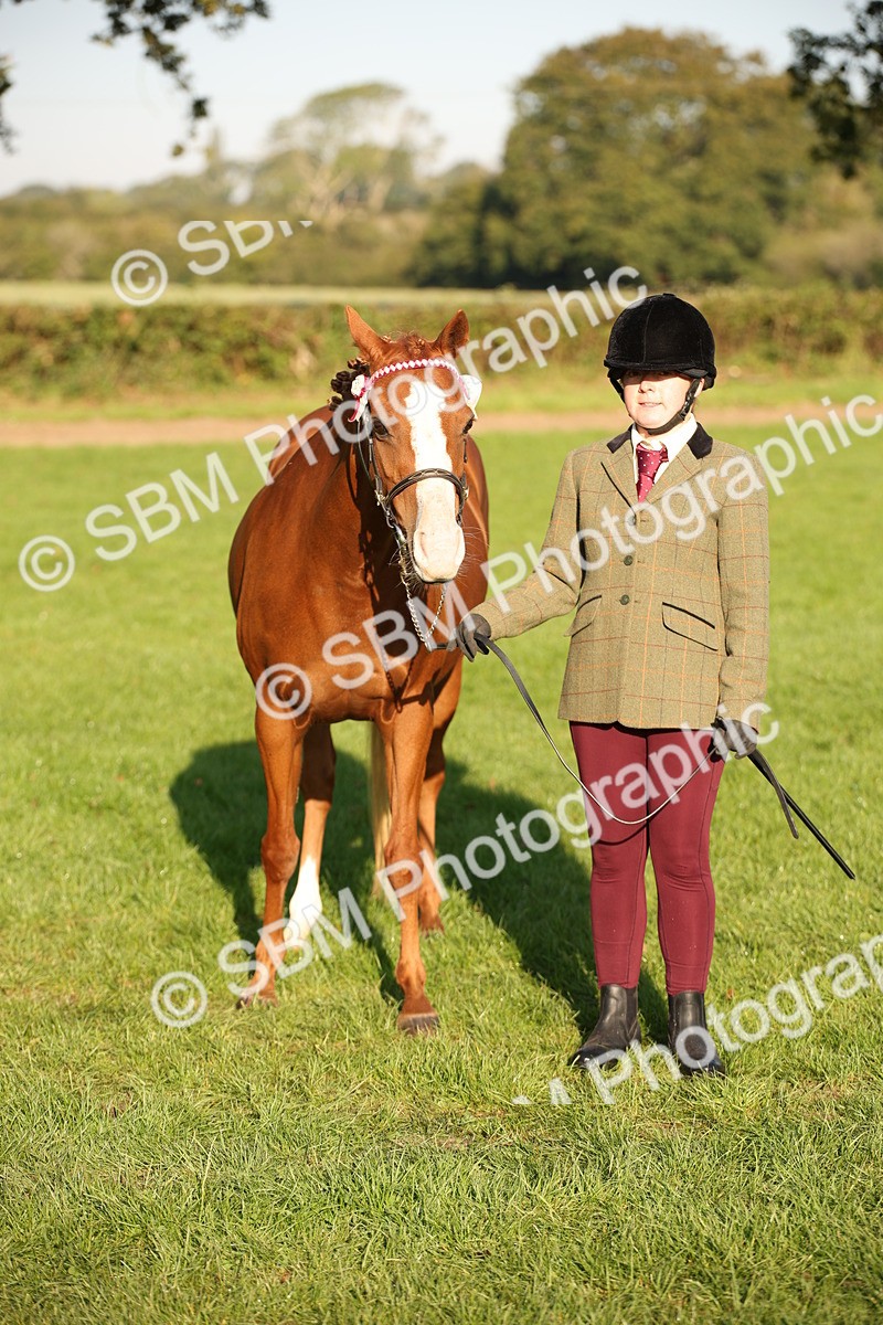SBM_57586 - S50 - Foreign Breeds In Hand