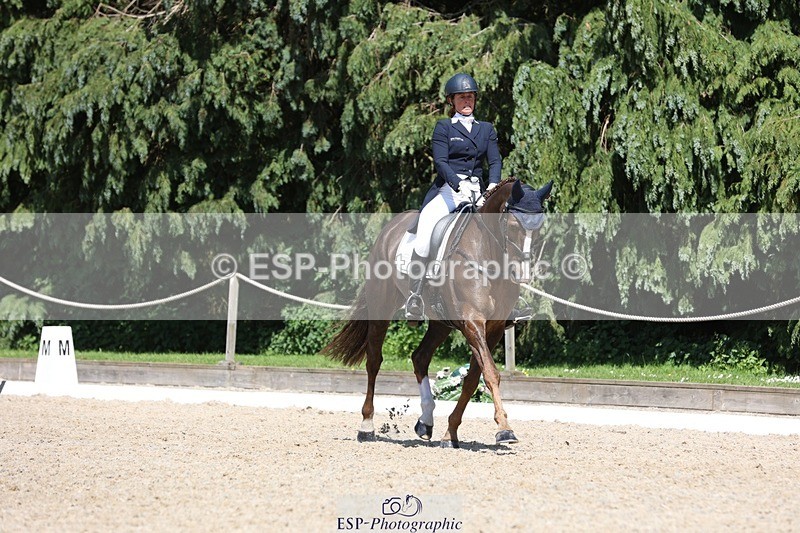 230526-145442-06577 - 376-DIRECT_BALLYTARSNA_DUCAREL-Jodie_Amos-WEDTrotUp+DR