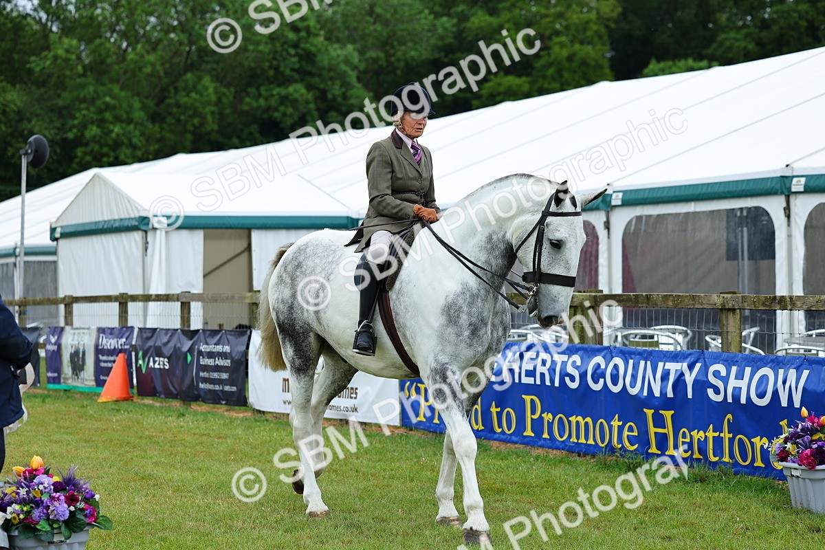 SBM_02462 - Class 9-11 Side Saddle including LIHS Rising Star Ladies Show Horse