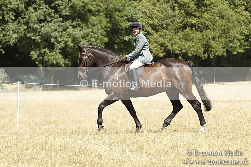 _BS_0745 - BVRC Show 2018 Ring 1