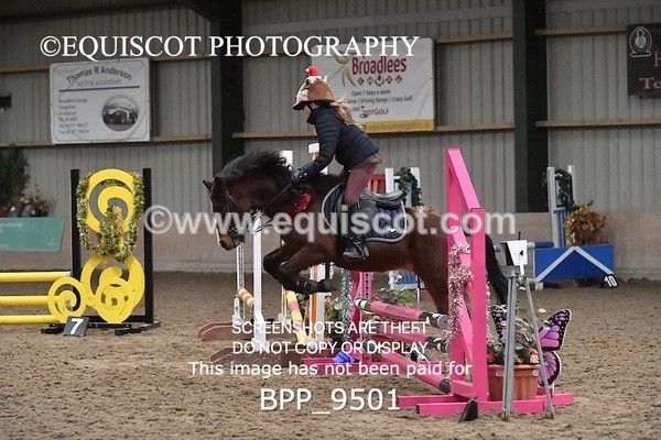 BPP_9501 - CLASS 5 60CM Progressive Show Jumping