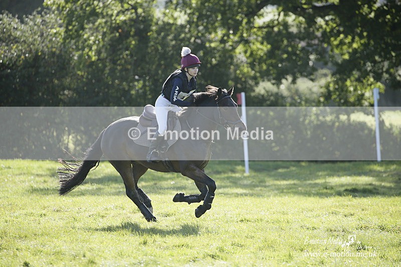 WWHT 031021 860 - Novice Restricted (0.80m) 03/10/21