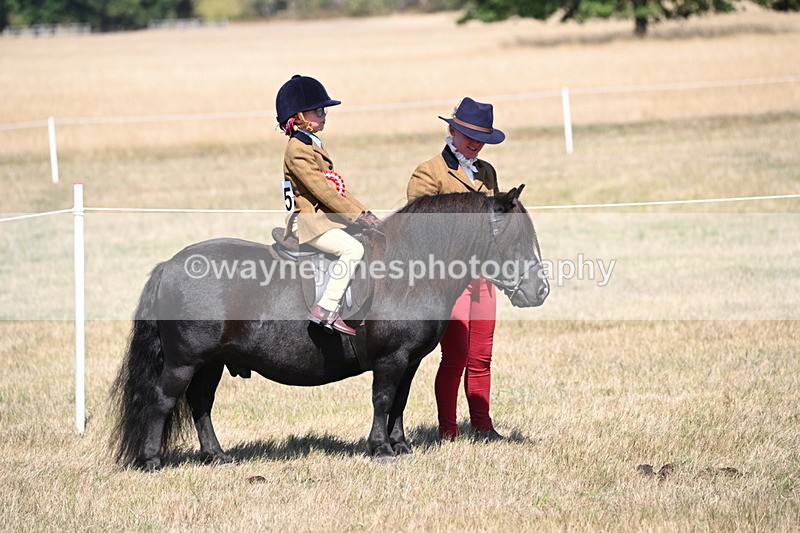WJ6_9133 - Championship Classes 33-38