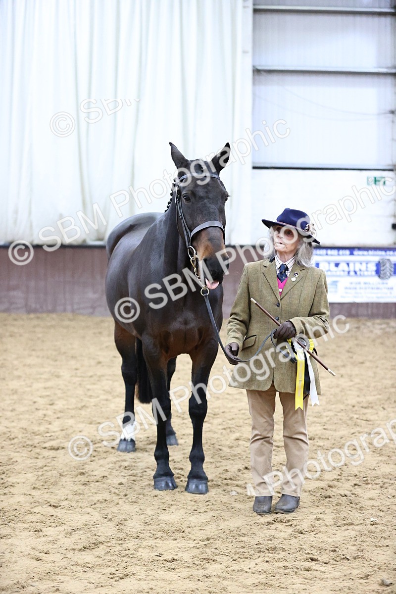 SBM_5776 - Class 3 - BSHA In Hand Show Hunter