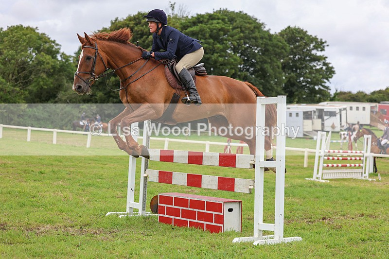 3E7A8032 - Class 7: Senior Newcomers/1.10m open