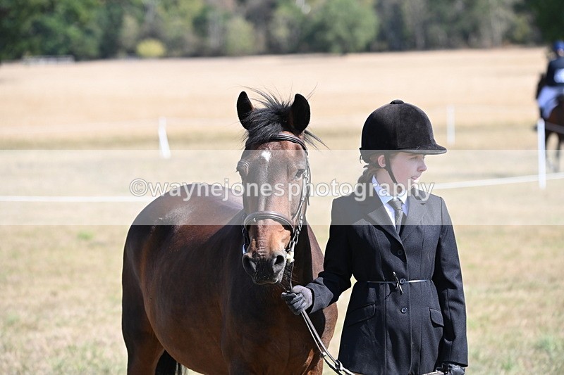 WJ6_7624 - Class 34 Judges Choice