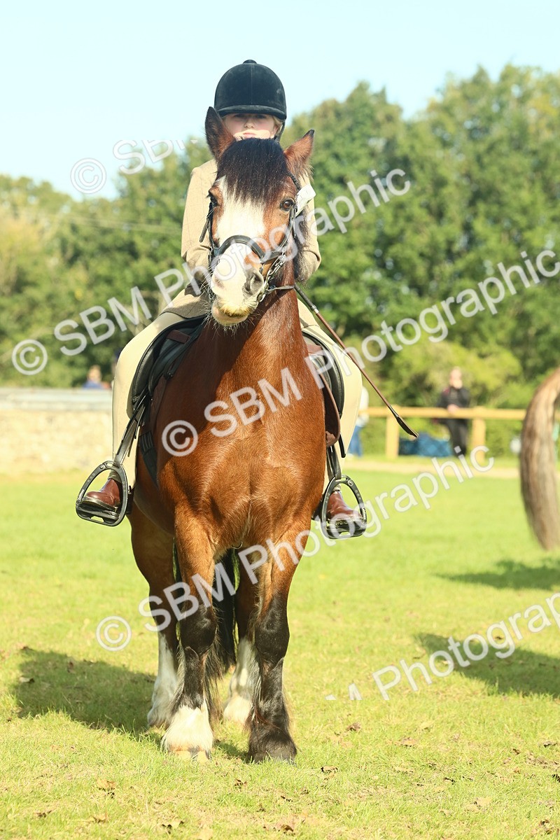 SBM_60025 - S38 - Starters Ridden Showing