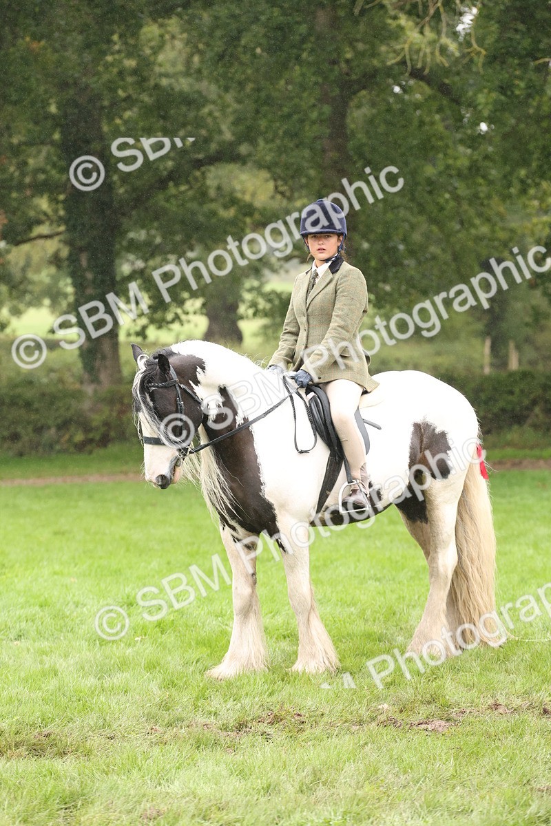 SBM_72767 - S70 - Traditional Cob Ridden
