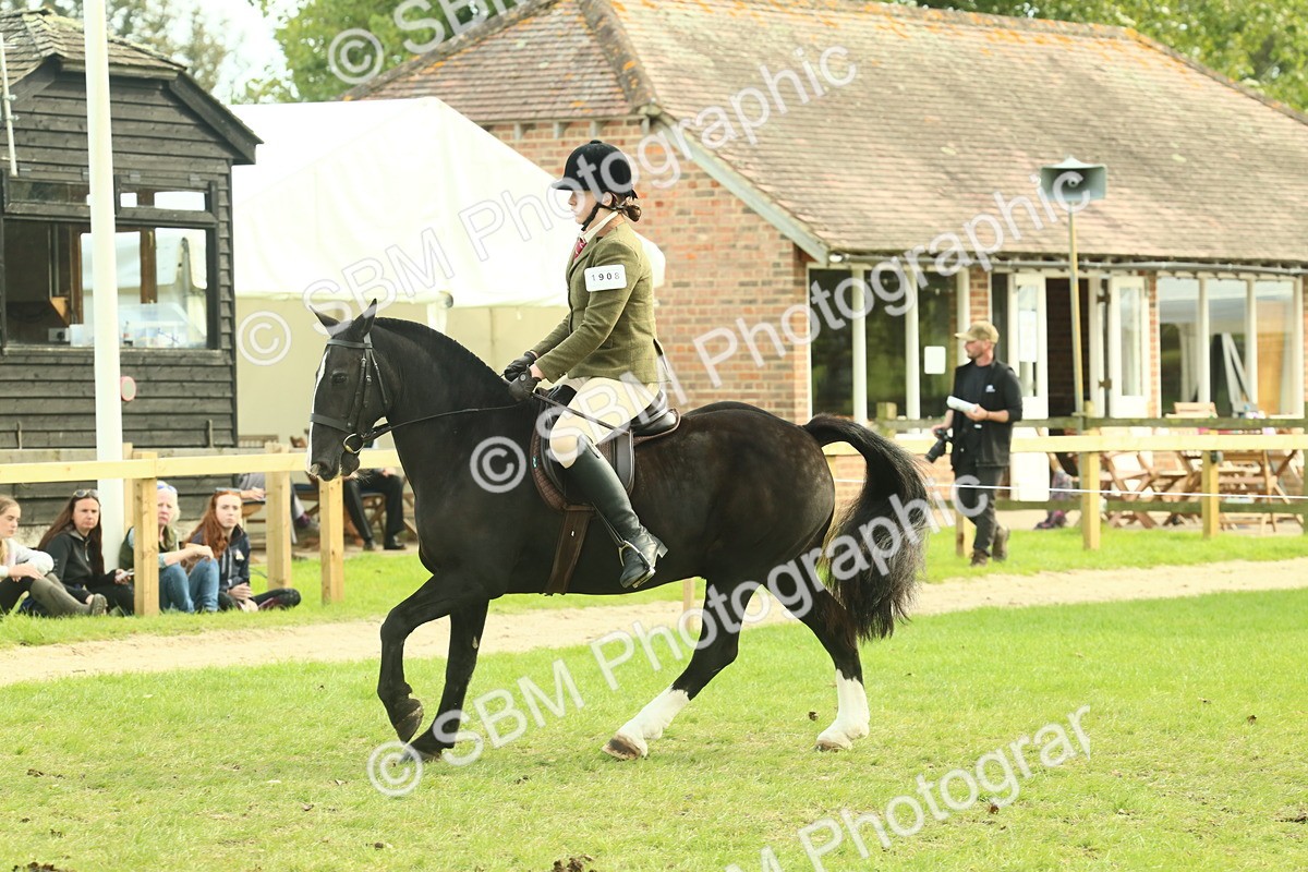 SBM_68252 - S58 - Mini Show Cob Ridden